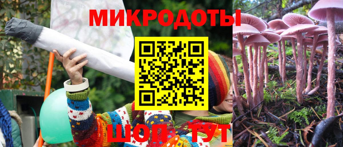 Псилоцибиновые грибы Psilocybe  Вход с VPN  Минусинск  Галлюциногенные грибы GOLDEN TEACHER 